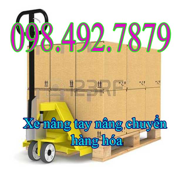 Xe nâng tay thấp dùng trong